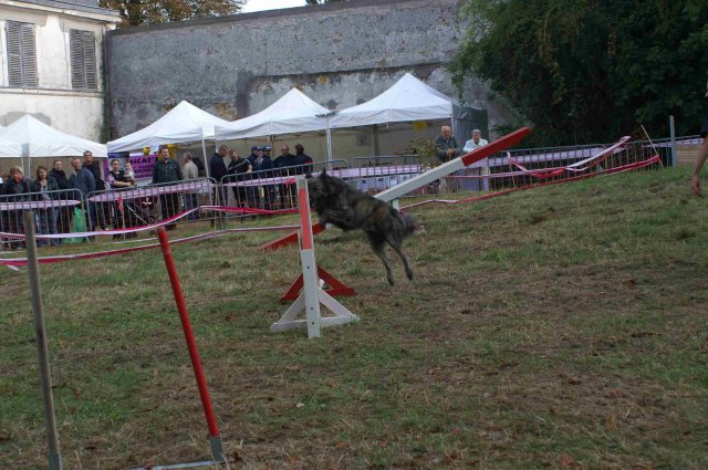foire-haricots 2011-09-17et18